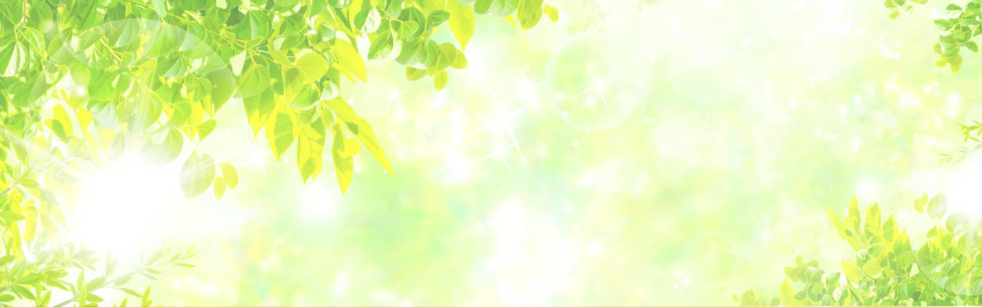 お気軽にお問い合わせください